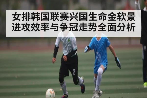 女排韩国联赛兴国生命金软景进攻效率与争冠走势全面分析