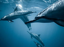 Kaiyun:开启云端美好生活的品牌之旅